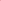 ROSE SOFT TADDY BEAR